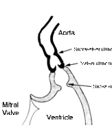 Apollo Specialty Hospital, Apollo Specialty Cancer Hospital